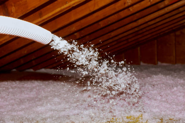 Best Insulation Maintenance and Repair in Centreville, MS